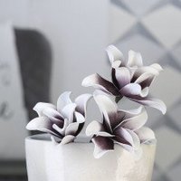 BLÜTEN BLÜTEN